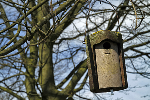 Vogelnistkasten