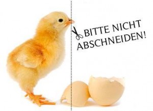 Mehr Infos - Bild anklicken!