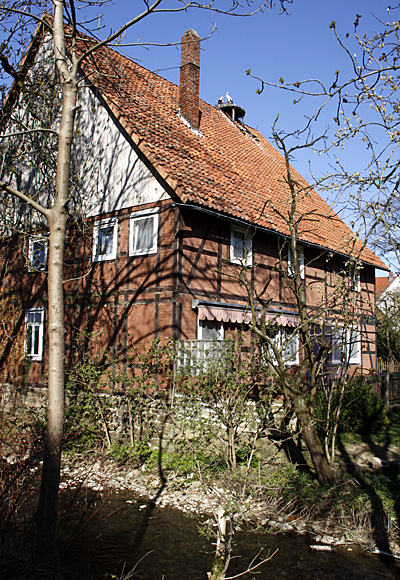 Fachwerkhaus mit Storchennest - Foto: © Martina Berg 