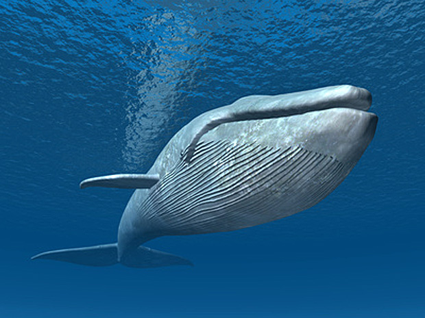 Illustration: © Michael Rosskothen - Fotolia.com