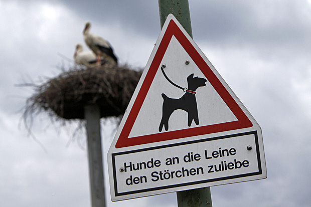 Um Rücksicht wird gebeten - Foto: © Martina Berg 