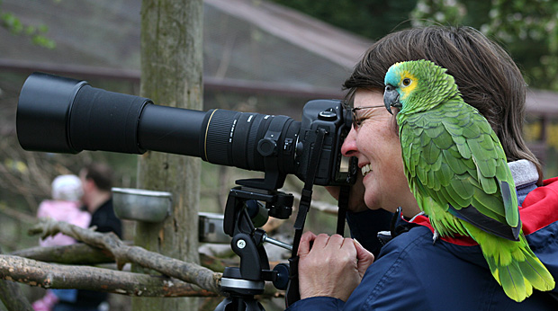 Foto: © Antje Lindert-Rottke