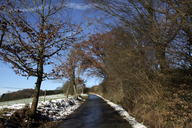 Weg zum Siekbachtal - Foto: © Martina Berg 