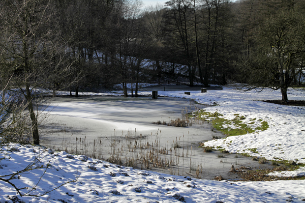 Teich im Siekbachtal - Foto: © Martina Berg 