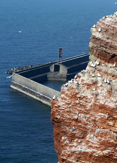 Der Lummenfelsen auf Helgoland