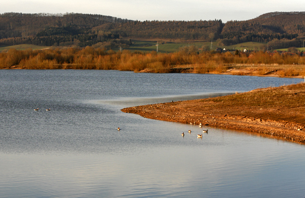 Blick über ienen der Teiche - Foto: © Martina Berg 