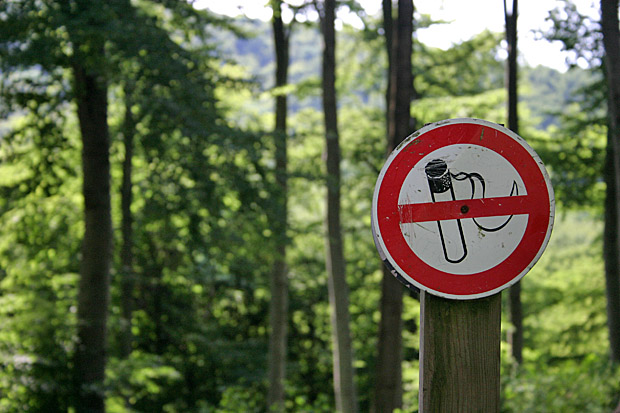 Rauchverbot im Wald - Foto: © Martina Berg 