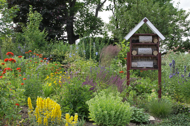 Biienenfreundlicher Garten mit Insektenhotel - Foto: © Martina Berg 